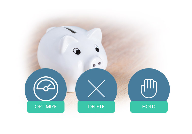 Don't Break the Bank on your Budget. Optimize, Delete, or Hold